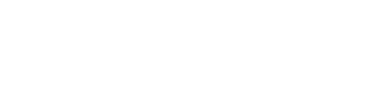 LOGICLINK 桥世来华